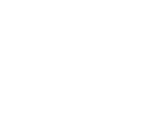 customer_0004_logo_wnbapa.png