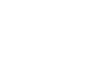 customer_0005_logo_nflp.png