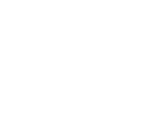 customer_0024_logo_chotels.png