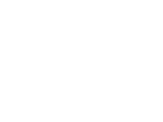 customer_0025_logo_chev.png
